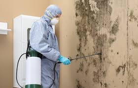 Environmental Consulting for Mold Prevention in Carrington, ND